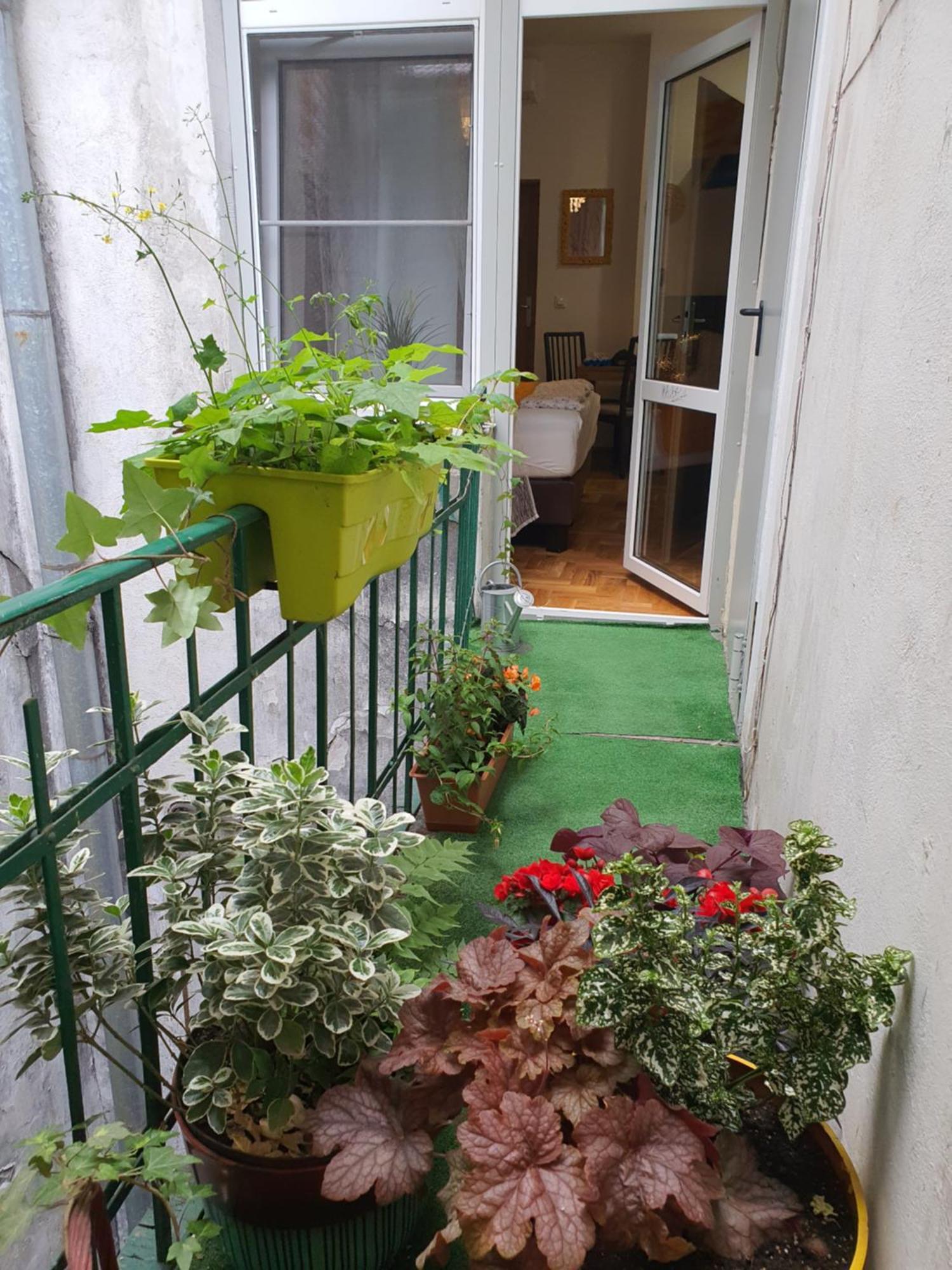 קרקוב Ok Lux Apartments מראה חיצוני תמונה